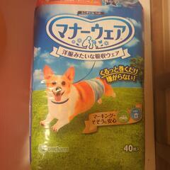マナーウェア　男の子用　Lサイズ　４０枚