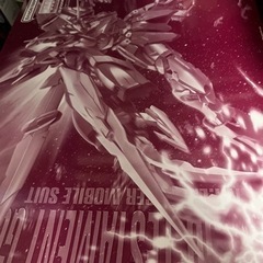 ガンプラ　MG テスタメント