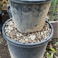 庭砂利を鉢ごと差しあげます。路盤材や鉢底石などに。の画像