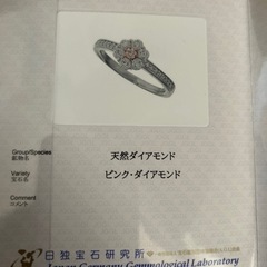 【新品】天然ピンクダイヤモンド　展示会品　Ptプラチナ　リング　指輪　鑑別書付の画像