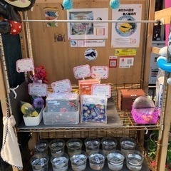 4月20日〜めだかの蓮音無人販売所　めだか販売　メダカ販売