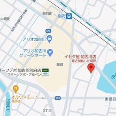 メダカ無人販売！ - ペット