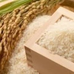 大隅県産ひのひかり1俵