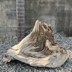流木 (氷山）
