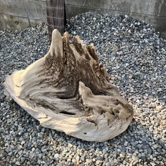 流木 (氷山）
の画像