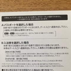 ナガシマスパーランド パスポート券 2枚セットの画像