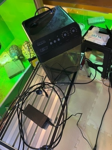 モンスンソロマルチ