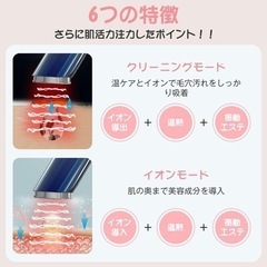 1台多役 美顔器 RF イオン導入 超音波美顔器 EMS 微電流 4色LEDの画像