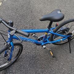 値下げ】ルイガノ K18 Lite 子供用自転車 軽量 18インチ