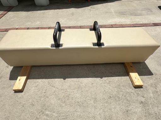 体操　鞍馬　円馬