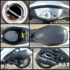 ★ホンダ ライブディオ★ 原付バイク 
人気車種 早い者勝ち AF34 後期型 原付 キャブレター 空冷 2サイクル 単気筒 50cc ジョグ レッツ 3代目DIOの画像