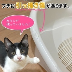 【中古品】子猫用トイレの画像