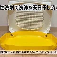 【中古品】子猫用トイレの画像