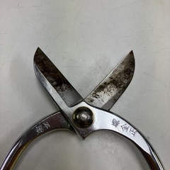 2404-620 剪定はさみ 本職 堺 金正 長さ約16cm サビあり 中古の画像
