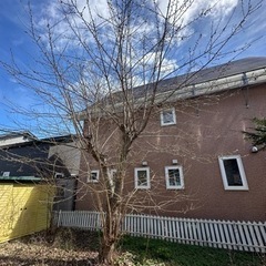 受け渡し予定者決まりました。の画像