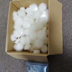 昆虫ゼリー　100個　　ゼリーカッターの画像