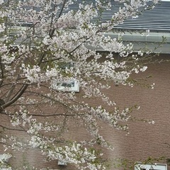 受け渡し予定者決まりました。の画像