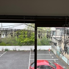 物干しハンガー（2個組）の画像