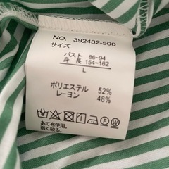 ストライプシャツグリーンの画像