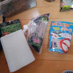 オオクワガタメスその他もろもろの画像