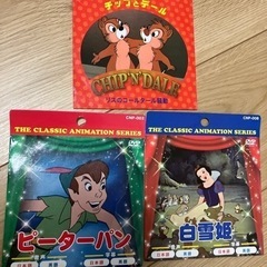 DVD 11枚  の画像
