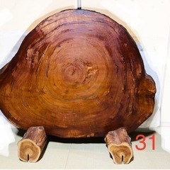 屋久杉　31 衝立