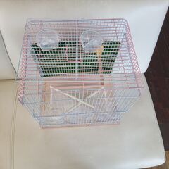 小鳥ゲージの画像