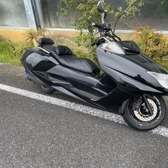 マグザム250　の画像