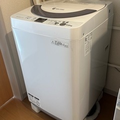 家電 生活家電 洗濯機