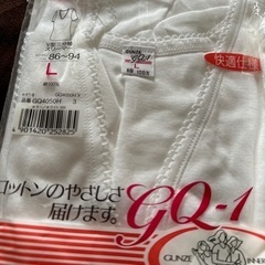 GUNZEの画像