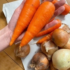 決まりました！ 人参、玉ねぎです！②