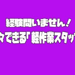 「完成品の梱包／箱詰め」経験不問・日払い対応〈市原市〉