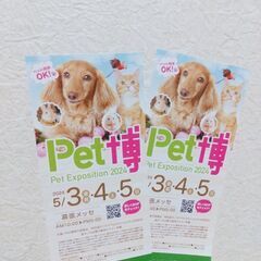 ペット博　2枚の画像