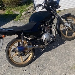 バイク ヤマハYBR125の画像