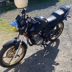バイク ヤマハYBR125の画像