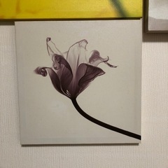 フランフラン　アートパネル　３枚セットの画像