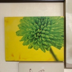 フランフラン　アートパネル　３枚セットの画像