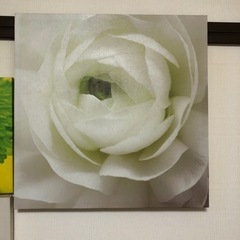 フランフラン　アートパネル　３枚セットの画像