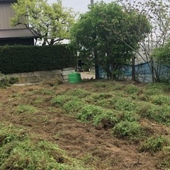 印西の田園地区の畑で私どもと一緒に野菜や花をつくりませんか（複数件面談中2〜5組程度でシェアで協議中） - 短期賃貸