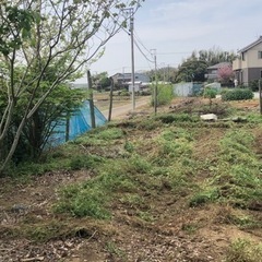 印西の田園地区の畑で私どもと一緒に野菜や花をつくりませんか（複数件面談中2〜5組程度でシェアで協議中） - 印西市