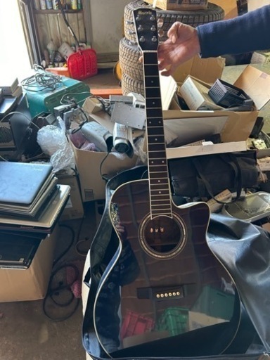 楽器 弦楽器、ギター