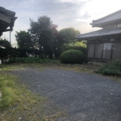 印西の田園地区の畑で私どもと一緒に野菜や花をつくりませんか（複数件面談中2〜5組程度でシェアで協議中） − 千葉県