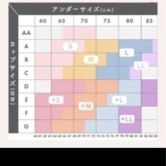 Angellirナイトブラ Lサイズの画像