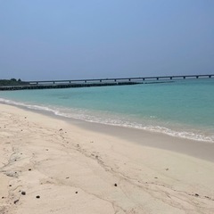 お友達になっていただける方いませんか！