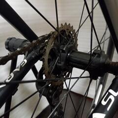 khodaabloom farna sl-105 2019の画像