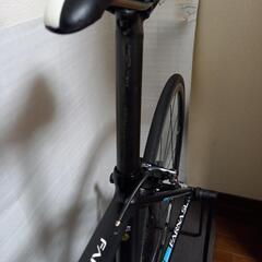 khodaabloom farna sl-105 2019の画像