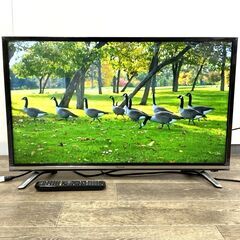 4/28終HR Hisense/ハイセンス 32V型 ハイビジョン 液晶テレビ 32N20  2019年製 リモコン付き 動作確認済 24d菊NS