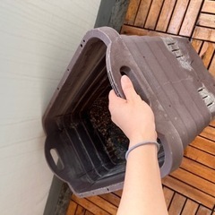 プランター　大型の画像