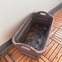 プランター　大型