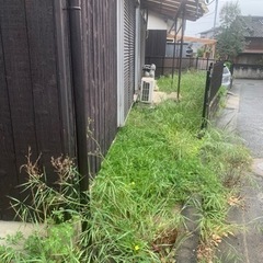草むしり　謝礼あり